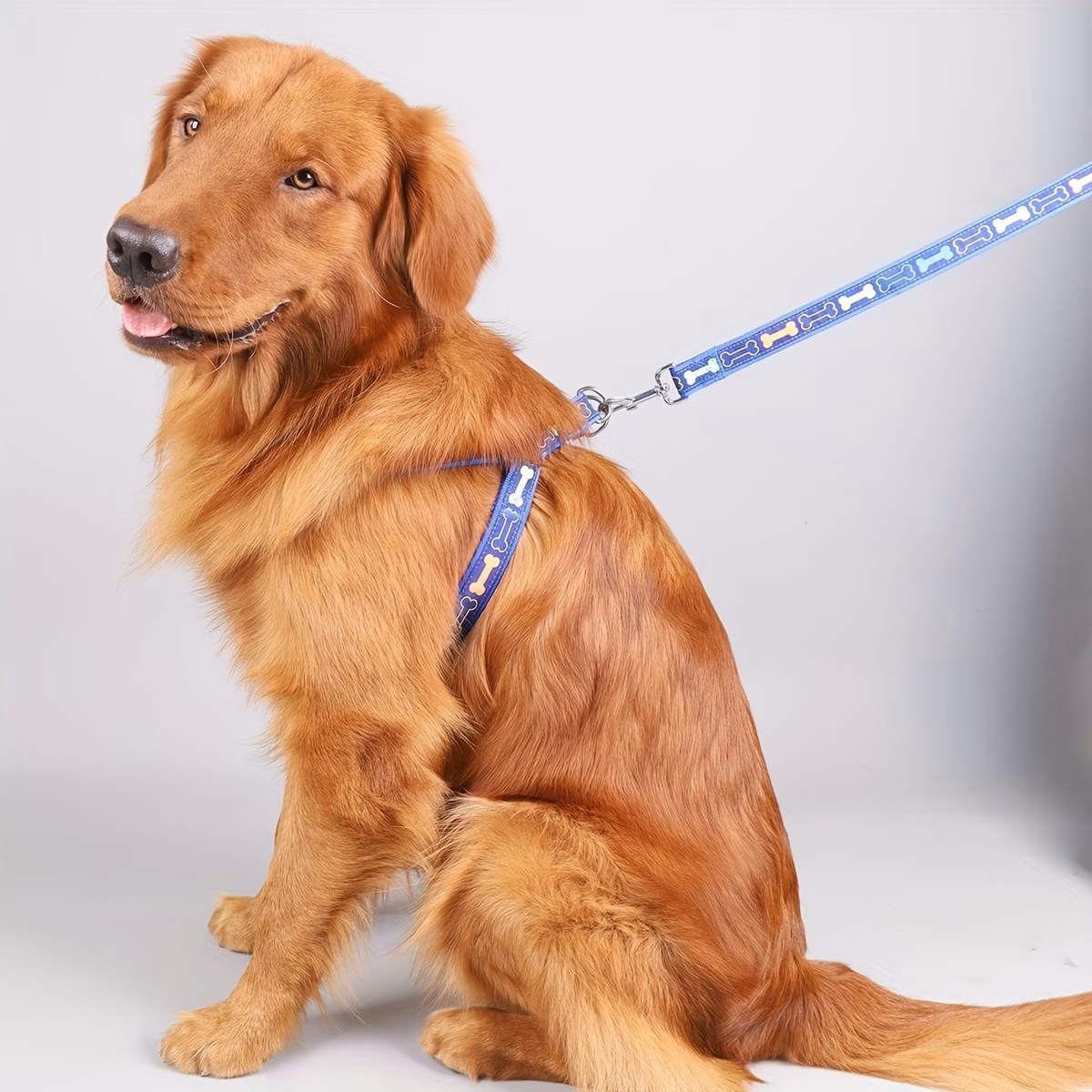 Adjustable Dog Harness with Qu - D Ring Strap ulasan dan harga